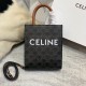 Celine Hand Bag,Shoulder Bags 007 Triomphe Mini Tote 