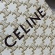 Celine Hand Bag,Shoulder Bags 008 Triomphe Mini Tote 