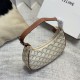 Celine Hand Bag,Shoulder Bags 010 AVA TRIOMPHE CANVAS BAG 