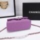 Chanel Mini Classic Flap Handbag