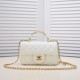 Chanel 22B Mini Flap Bag with Top Handle