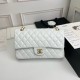 Chanel Classic Double Flap Medium Bag