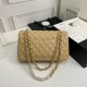 Chanel Classic Double Flap Medium Bag