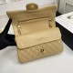 Chanel Classic Double Flap Medium Bag