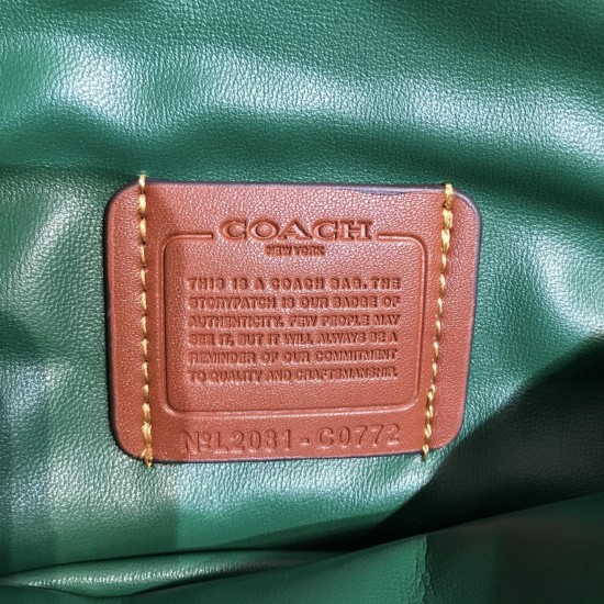 Coach Pillow Tabby Leather Shoulder Bag in Green